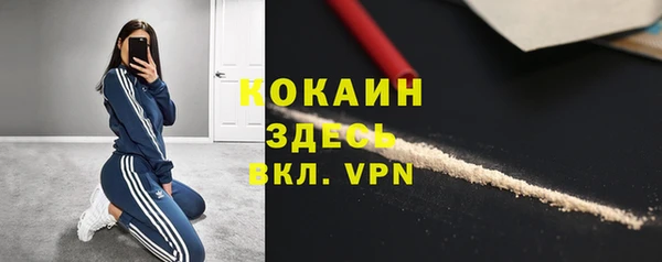 сатива Медногорск