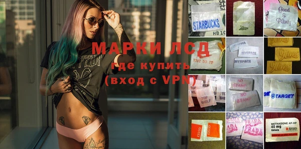 сатива Медногорск