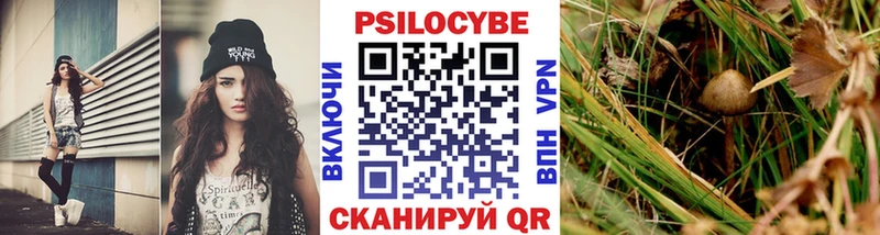 Псилоцибиновые грибы MAGIC MUSHROOMS  Комсомольск-на-Амуре 